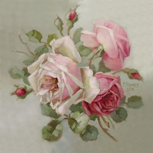 Blush and Rosy Pink Roses